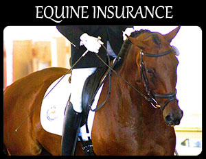 Equine Insurance