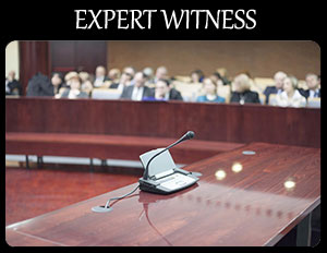 Equine Expert Witness